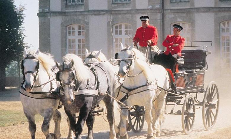 フランス输入馬車
